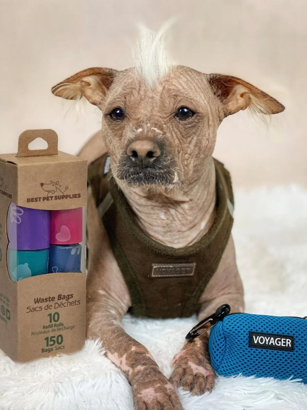 Portable 150 Pack Dog Poop Bags - Assorted Colors for Effortless Waste Disposal